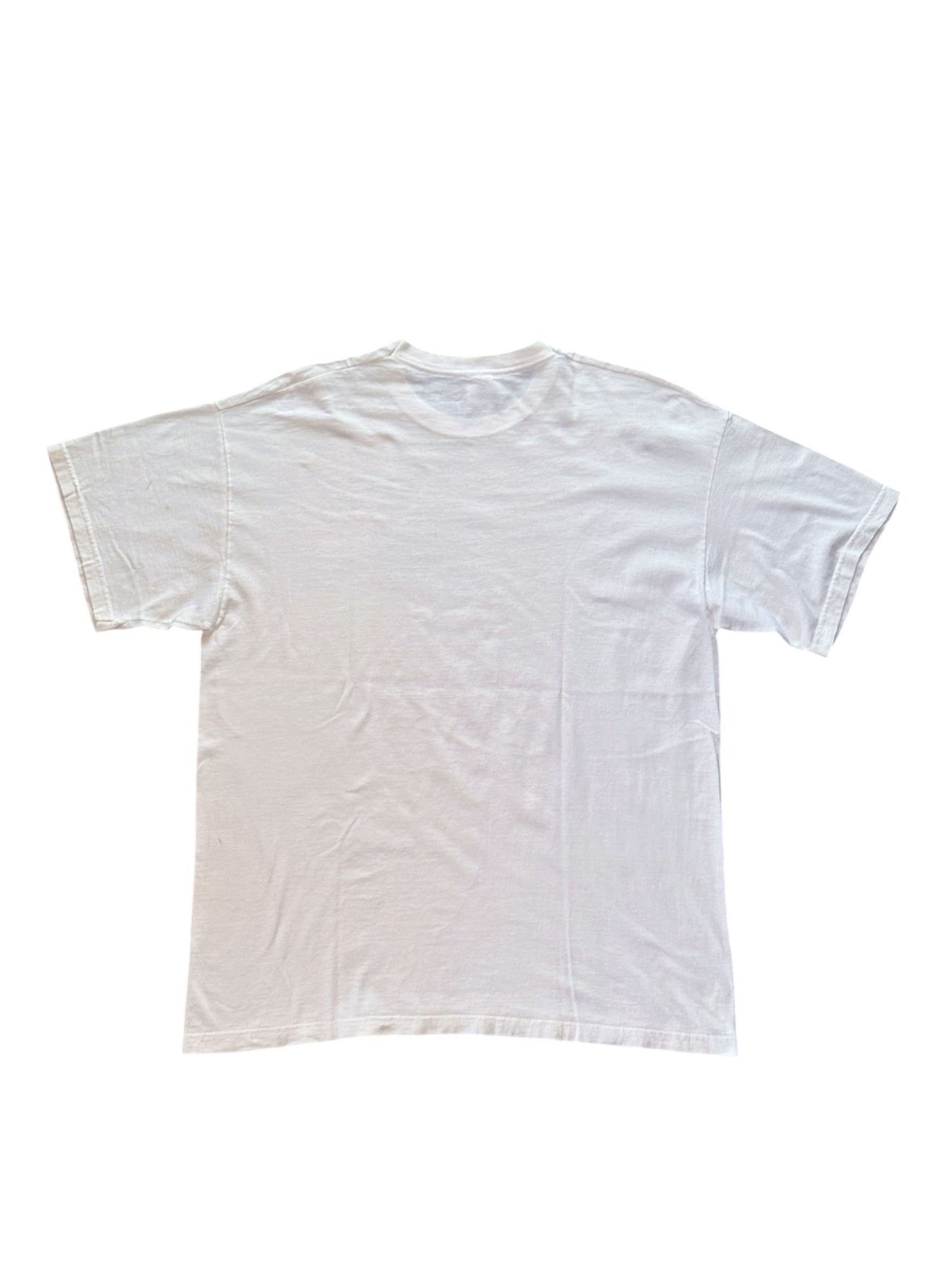 (SUP-407) 2013 SENIORS TENNIS CHAMPIONSHIP TEE (XL)