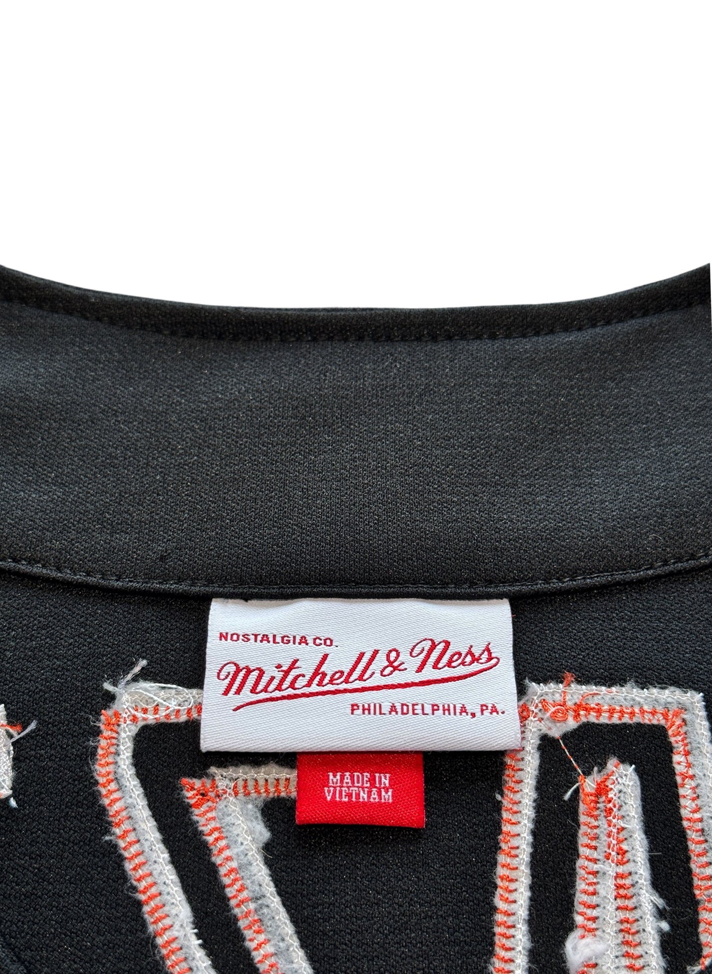 (SUP-377) Mitchell&Ness NEW YORK METS "31" Mike Piazza (48・XLサイズ)