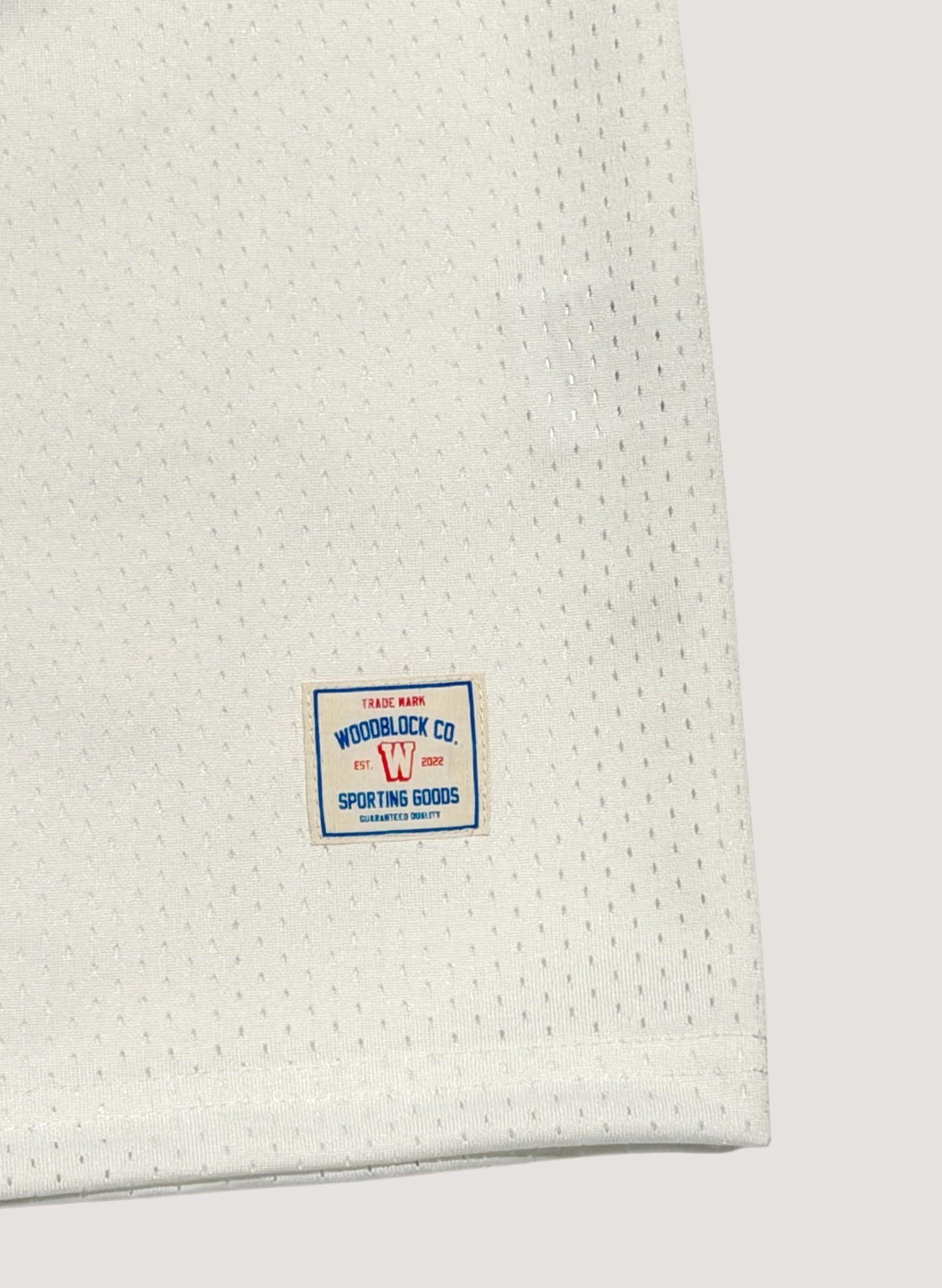WOODBLOCK 36 S/S CREW NECK MESH FOOTBALL SHIRT WHITE/BLUE (WB-26SS-020)